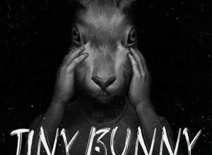 Tiny Bunny (ЗАЙЧИК)