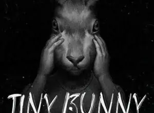 Tiny Bunny (ЗАЙЧИК)